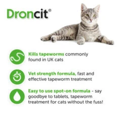 Droncit Spot On For Cats -Pet Supplies I9069398 en 04 74358.1710539380.386.513