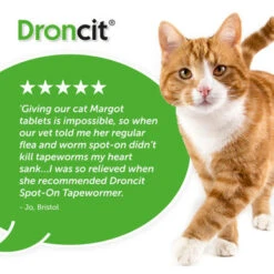 Droncit Spot On For Cats -Pet Supplies I9069398 en 05 82583.1710539380.386.513