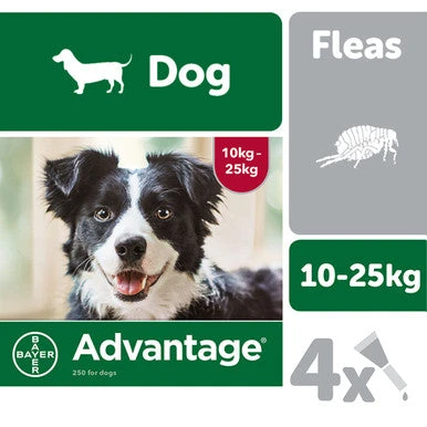 Advantage 250 Spot On Dog Flea Treatment For Dogs 2 Advantage 250 Spot On Dog Flea Treatment For Dogs - Image 2