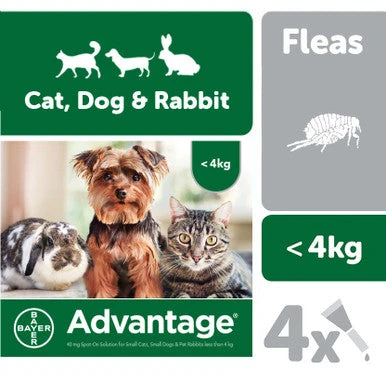 Advantage 40 For Small Cat, Dog & Rabbits Up To 4kg 4 Advantage 40 For Small Cat, Dog & Rabbits Up To 4kg - Image 4