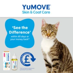 YuMOVE Skin & Coat Care Moulting Supplement Oil For Cats 12 YuMOVE Skin & Coat Care Moulting Supplement Oil For Cats -Pet Supplies I9101049 en 04 82637.1710539394.386.513