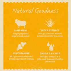 James Wellbeloved Grain Free Senior Cat Wet Food Pouch - Lamb -Pet Supplies I9101092 en 05 52188.1700639047.386.513