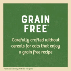 James Wellbeloved Grain Free Senior Cat Wet Food Pouch - Lamb -Pet Supplies I9101092 en 06 10438.1700639047.386.513