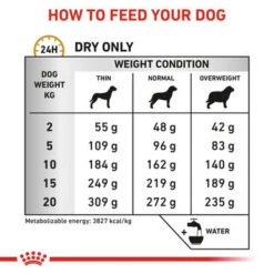 Royal Canin Urinary U/C Low Purine Dry Dog Food (UUC 18) -Pet Supplies I9108885 en 03 14890.1700639380.386.513