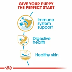 Royal Canin French Bulldog Puppy Dry Dog Food -Pet Supplies I9108902 en 05 02114.1710539423.386.513