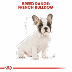 Royal Canin French Bulldog Puppy Dry Dog Food -Pet Supplies I9108902 en 06 29660.1710539423.386.513