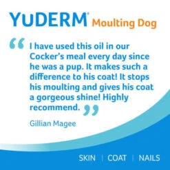 YuMOVE Skin & Coat Care Moulting Supplement Oil For Dogs -Pet Supplies I9109569 en 04 54541.1700639858.386.513