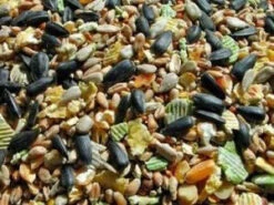 Superior Wildbird Feed