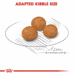 Royal Canin X-Small Adult Dry Dog Food -Pet Supplies I9112378 en 05 99834.1710539418.386.513