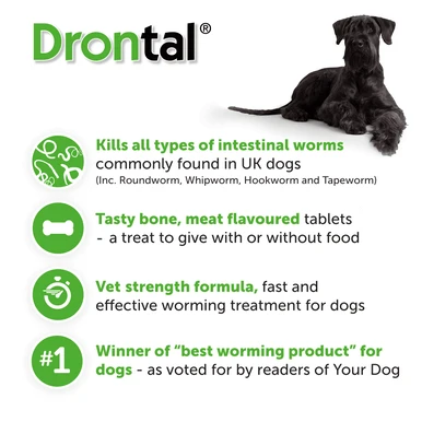 Drontal Tasty Bone XL Wormer Tablets For Large Dogs (Over 20kg) 1 Tablet Per 35kg 6 Drontal Tasty Bone XL Wormer Tablets For Large Dogs (Over 20kg) 1 Tablet Per 35kg - Image 6