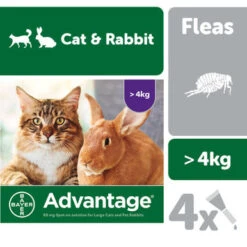 Advantage 80 Spot On For Large Cat & Rabbits (4-8kg) -Pet Supplies I9120288 17695.1700639565.386.513