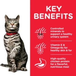 Hill's Science Plan Feline Adult Urinary Health Sterilised Cat -Pet Supplies I9151277 en 03 30379.1700639807.386.513