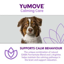 YuMOVE Calming Care Adult Dog Supplement Tablets -Pet Supplies I9195277 en 11 54159.1710539443.386.513