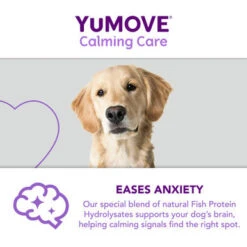 YuMOVE Calming Care Adult Dog Supplement Tablets -Pet Supplies I9195277 en 12 65571.1710539443.386.513