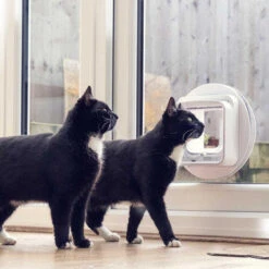 SureFlap Microchip Cat Flap Connect With Wireless Hub -Pet Supplies I9313277 en 05 81307.1700640454.386.513