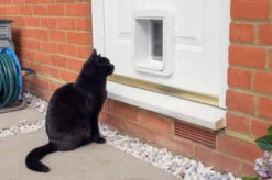 SureFlap Microchip Pet Door Connect With Wireless Hub -Pet Supplies I9313278 en 06 87483.1710539461.386.513