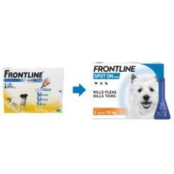 Frontline Spot On Flea & Tick Treatment For Small Dogs (2-10kg) 8 Frontline Spot On Flea & Tick Treatment For Small Dogs (2-10kg) -Pet Supplies I9347279 en 02 08360.1700636736.386.513
