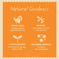 James Wellbeloved Grain Free Puppy Wet Dog Food Pouches - Turkey In Gravy 12 James Wellbeloved Grain Free Puppy Wet Dog Food Pouches - Turkey In Gravy -Pet Supplies I9382279 en 05 08798.1700640805.386.513