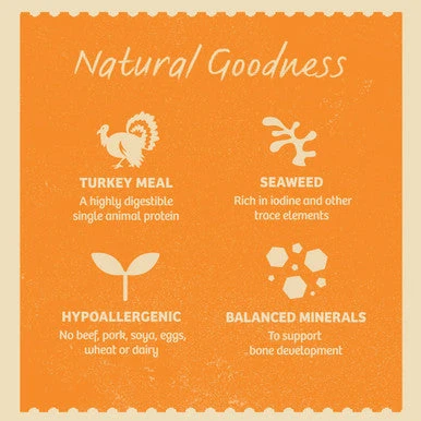 James Wellbeloved Grain Free Puppy Wet Dog Food Pouches - Turkey In Gravy 6 James Wellbeloved Grain Free Puppy Wet Dog Food Pouches - Turkey In Gravy - Image 6