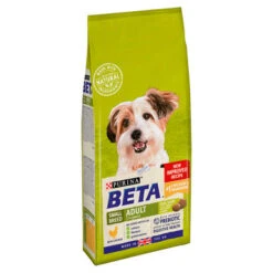 BETA Small Breed Adult Dry Dog Food - Chicken -Pet Supplies I9391304 en 03 51277.1710539485.386.513