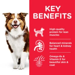 Hill's Science Plan Medium Mature Adult 7+ Dry Dog Food - Chicken 7 Hill's Science Plan Medium Mature Adult 7+ Dry Dog Food - Chicken -Pet Supplies I9399373 en 02 00287.1700640961.386.513