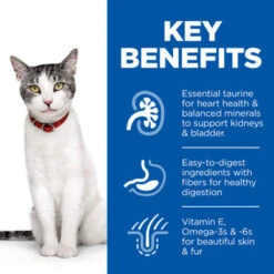 Hill's Science Plan Senior 11+ Dry Cat Food - Chicken 9 Hill's Science Plan Senior 11+ Dry Cat Food - Chicken -Pet Supplies I9399389 en 04 62232.1710539486.386.513