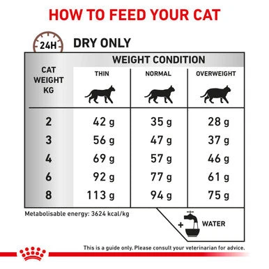 Royal Canin Vet DietCat GastroInt Hairball 7 Royal Canin Vet DietCat GastroInt Hairball - Image 7