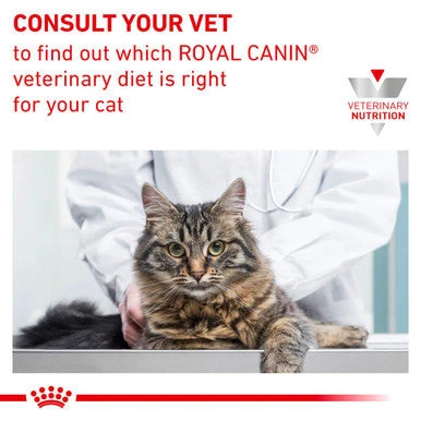 Royal Canin Vet DietCat GastroInt Hairball 9 Royal Canin Vet DietCat GastroInt Hairball - Image 9