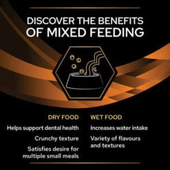 Purina Pro Plan Veterinary Diets OM Obesity Management Adult Wet Cat Food - Chicken -Pet Supplies I9441291 en 15 21110.1710539525.386.513