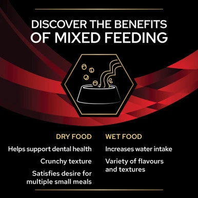 Purina Pro Plan Veterinary Diets DM Diabetes Management Adult Wet Cat Food - Beef 7 Purina Pro Plan Veterinary Diets DM Diabetes Management Adult Wet Cat Food - Beef - Image 7