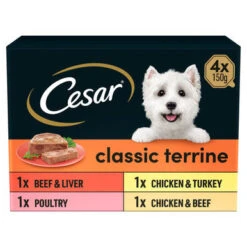 Cesar Classics Terrine Adult Wet Dog Food - Mixed Selection