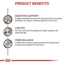 Royal Canin Vet Diet Dog GastroInt Low Fat -Pet Supplies I9499295 en 02 25038.1700637530.386.513