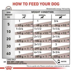 Royal Canin Vet Diet Dog GastroInt Low Fat -Pet Supplies I9499295 en 03 11666.1700637530.386.513