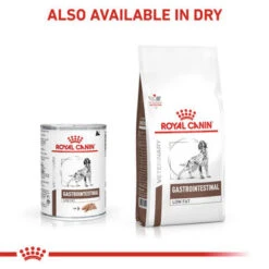 Royal Canin Vet Diet Dog GastroInt Low Fat -Pet Supplies I9499295 en 05 41856.1700637530.386.513