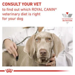 Royal Canin Vet Diet Dog GastroInt Low Fat -Pet Supplies I9499295 en 06 50303.1700637530.386.513