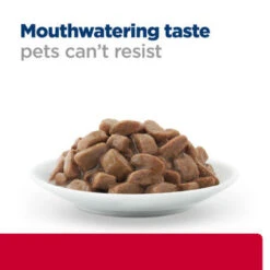 Hill's Prescription Diet C/d Multicare Stress Urinary Care Cat Wet Food - Chicken 15 Hill's Prescription Diet C/d Multicare Stress Urinary Care Cat Wet Food - Chicken -Pet Supplies I9499472 en 06 84038.1710539588.386.513