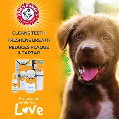Arm & Hammer Fresh 360 Toothbrush For Dog 6 Arm & Hammer Fresh 360 Toothbrush For Dog - Image 6