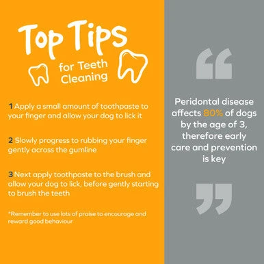 Arm & Hammer Fresh 360 Toothbrush For Dog 7 Arm & Hammer Fresh 360 Toothbrush For Dog - Image 7