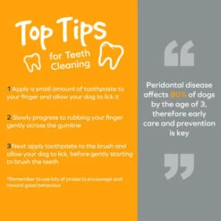 Arm & Hammer Fresh Coconut Mint Toothpaste Puppy -Pet Supplies I9520466 07 91730.1700644425.386.513