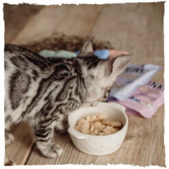 Blink Cat Chicken Selection Multipack 5 Blink Cat Chicken Selection Multipack -Pet Supplies I9520588 en 03 70895.1710539629.386.513