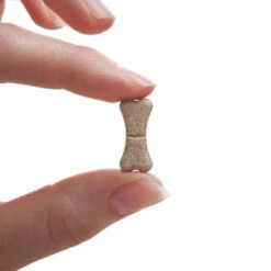 Drontal Tasty Bone Wormer Tablets Small/Medium Dog 10 Drontal Tasty Bone Wormer Tablets Small/Medium Dog -Pet Supplies I9520905 02 22532.1700643126.386.513