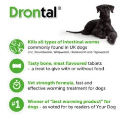 Drontal Tasty Bone Wormer Tablets Small/Medium Dog 11 Drontal Tasty Bone Wormer Tablets Small/Medium Dog -Pet Supplies I9520905 03 64819.1700643126.386.513