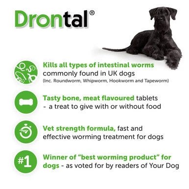 Drontal Tasty Bone Wormer Tablets Small/Medium Dog 4 Drontal Tasty Bone Wormer Tablets Small/Medium Dog - Image 4