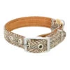 Earthbound Tweed Herringbone Dog Collar