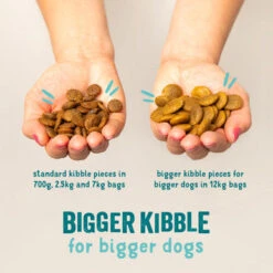 Edgard & Cooper Puppy Grain-free Dry Dog Food Fresh Free-Run Duck & Chicken -Pet Supplies I9521005 02 26222.1700643182.386.513