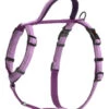 Halti Purple Dog Walking Harness