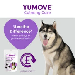 YuMOVE One-A-Day Calming Care Supplement For Large Dogs -Pet Supplies I9521908 en 04 58984.1710539701.386.513