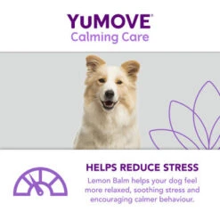 YuMOVE One-A-Day Calming Care Supplement For Large Dogs -Pet Supplies I9521908 en 07 85946.1710539702.386.513