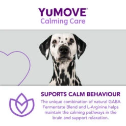 YuMOVE One-A-Day Calming Care Supplement For Large Dogs -Pet Supplies I9521908 en 08 72970.1710539702.386.513