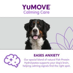 YuMOVE One-A-Day Calming Care Supplement For Large Dogs -Pet Supplies I9521908 en 09 43418.1710539702.386.513